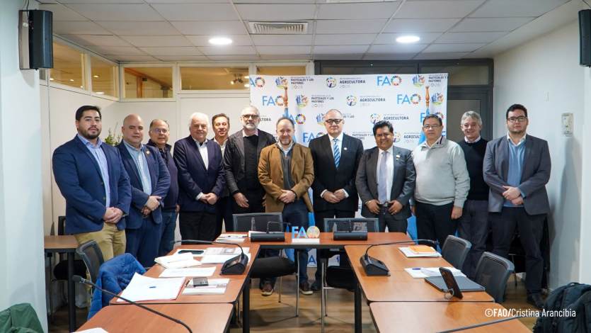 coordinadores nacionales REAF Mercosur