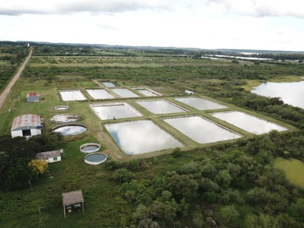 piletas de acuicultura piletas de acuicultura