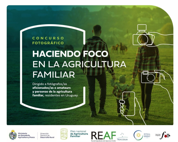 haciendo foco
