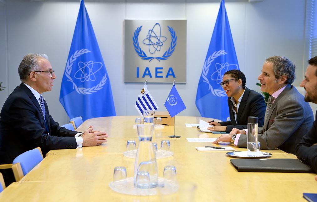 Embajador junto al director general del OIEA
