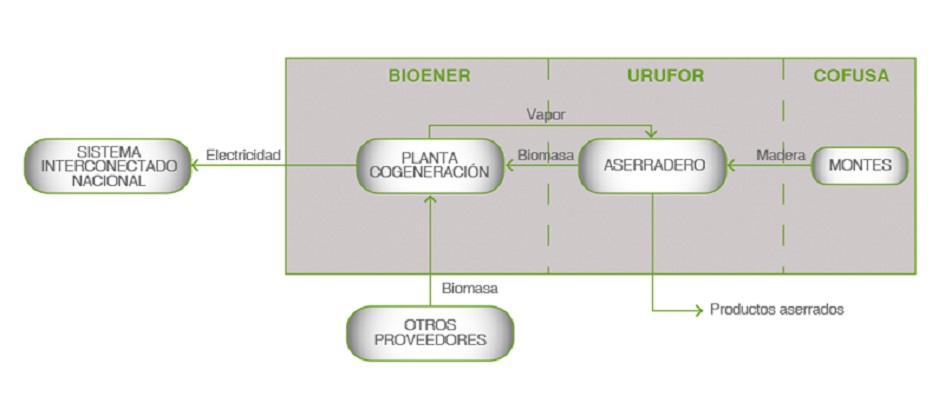 Bioener esquema