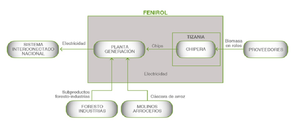 FENIROL esquema