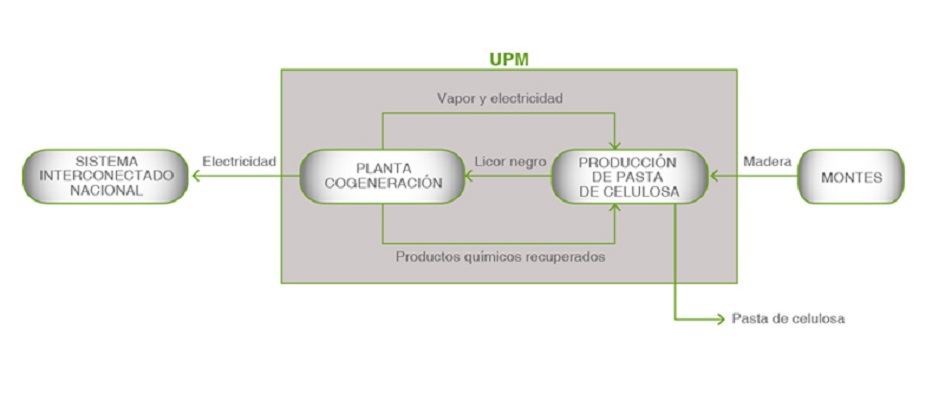 UPM esquema