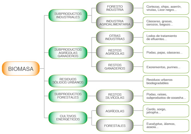 Esquema de biomasa