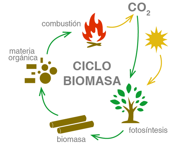Ciclo de biomasa