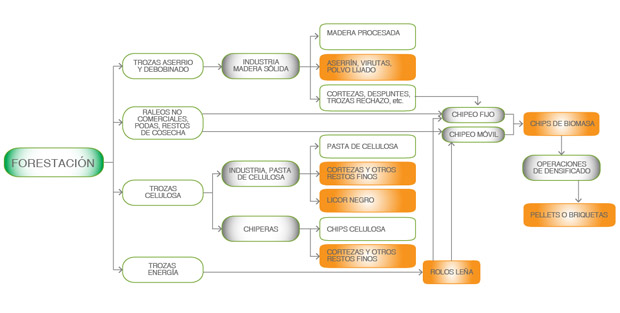 Esquema de biomasa forestal