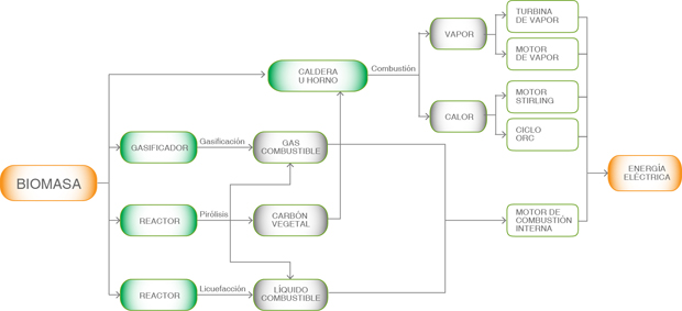 Generación energía eléctrica a través de biomasa