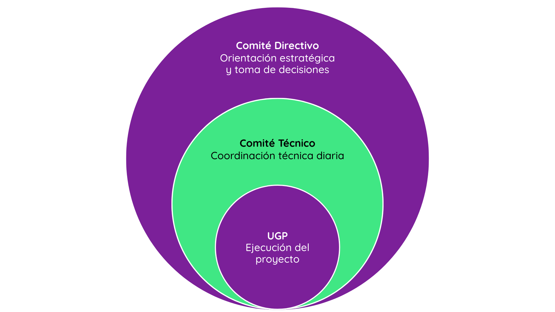 Diagrama de gobernanza del proyecto ReValora representado mediante tres círculos concéntricos. En el círculo exterior se ubica el Comité Directivo, responsable de la orientación estratégica y la toma de decisiones. En el círculo intermedio se encuentra el Comité Técnico, encargado de la coordinación técnica diaria. En el centro se sitúa la Unidad de Gestión del Proyecto (UGP) como entidad ejecutora del proyecto.