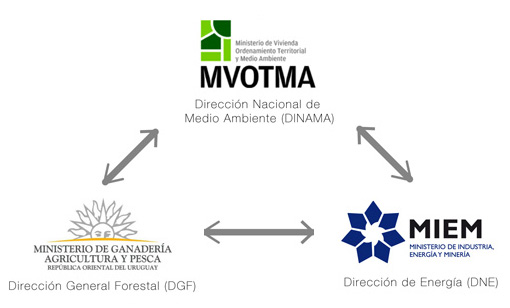 Integrantes del proyecto