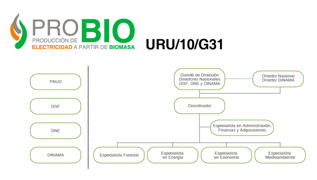Organigrama del proyecto