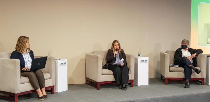 La directora nacional de Industrias, Susana Pecoy, participa del 3.er Congreso Iberoamericano de la Ingeniería de los Alimentos