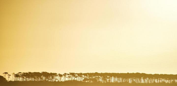 Punta del Este