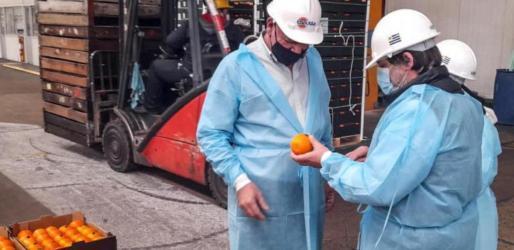 El subsecretario en la planta de Citrícola Salteña