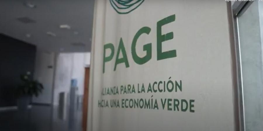 Banner de proyecto PAGE