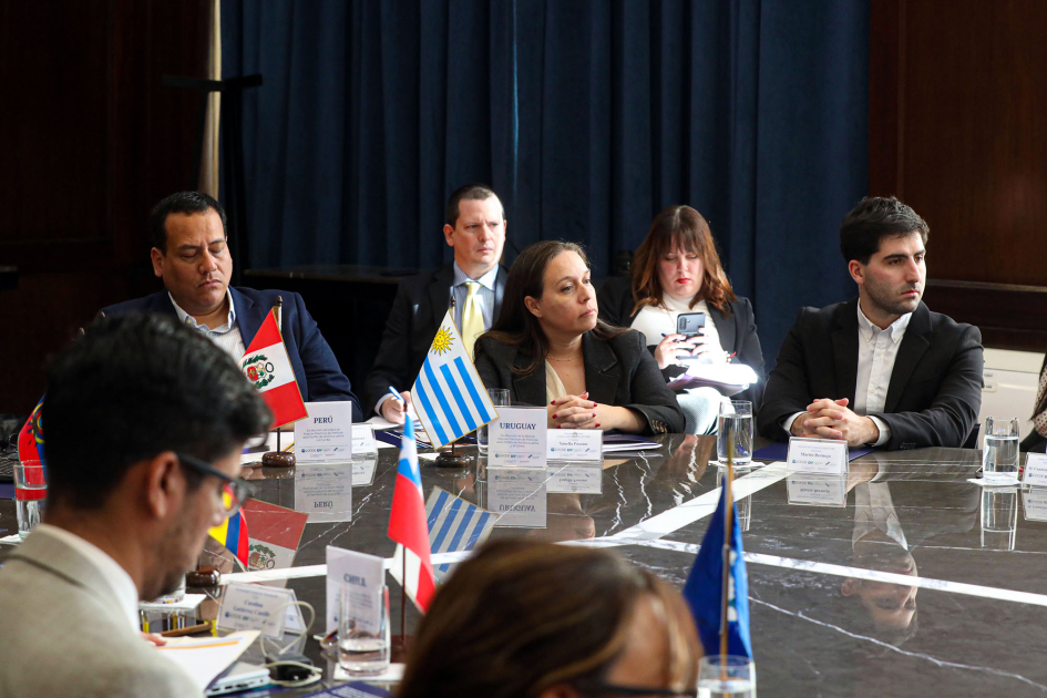 Posente y otras personas, sentadas alrededor de una mesa con banderas