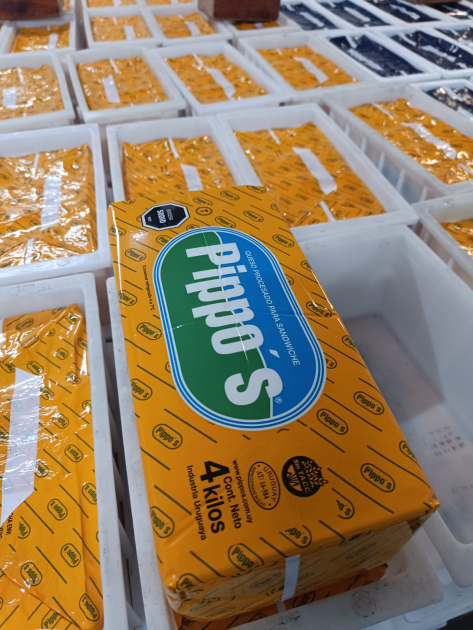 Bloques de queso procesado para spandwiche de Familia Pippo's