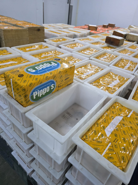 Bloques de queso procesado para sándwiche, dentro de cajas