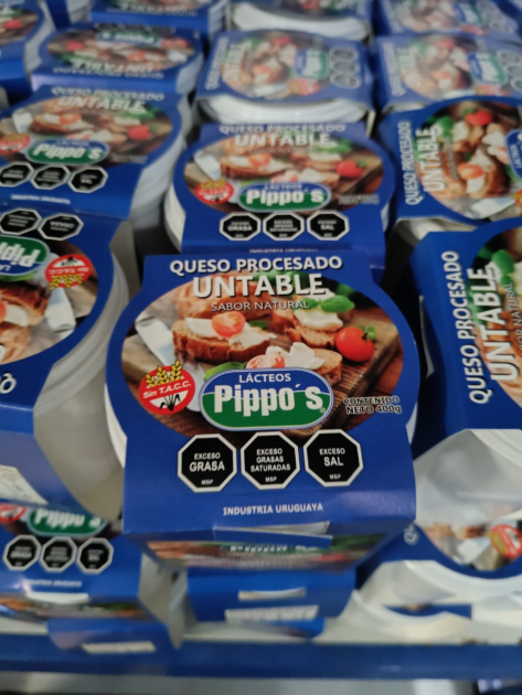 Tarros de queso procesado cremoso de Familia Pippo's