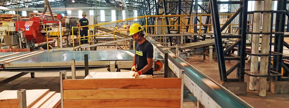 Núcleo duro industrial creció en octubre por noveno mes consecutivo Núcleo duro industrial creció en octubre por noveno mes consecutivo