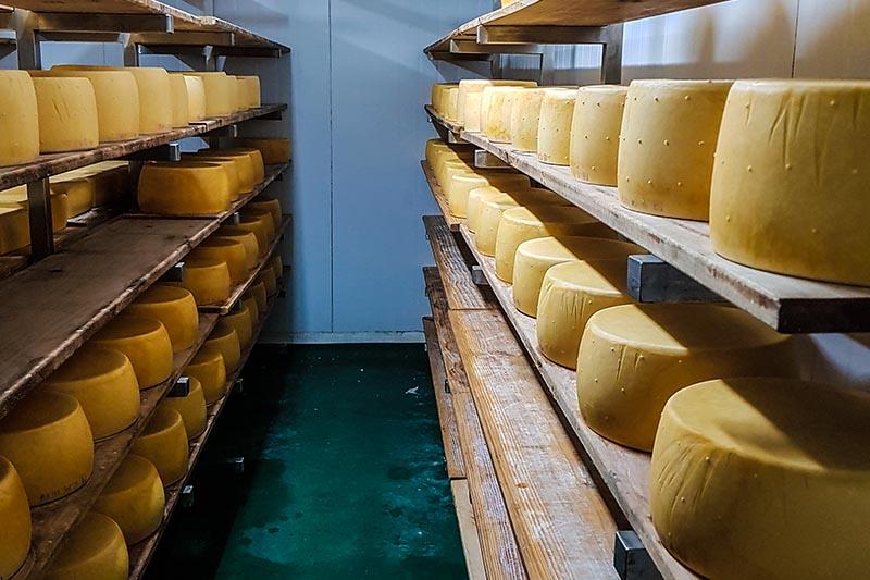 Producción artesanal de quesos