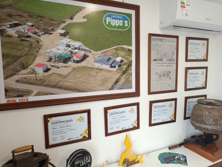 Diplomas y cuadros sobre una pared