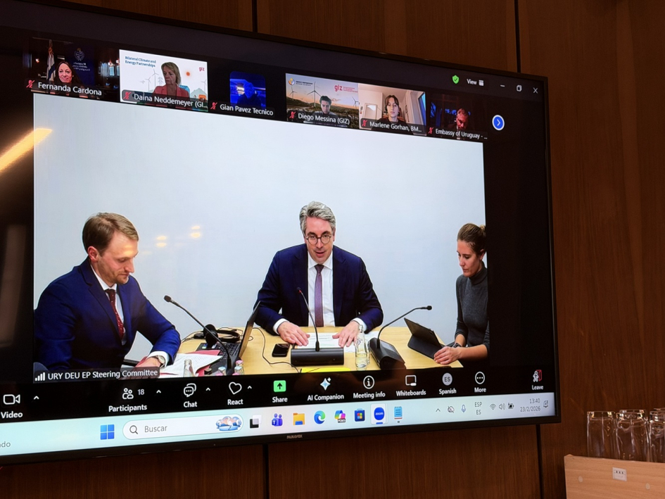 Pantalla en la que se muestran personas en una videoconferencia