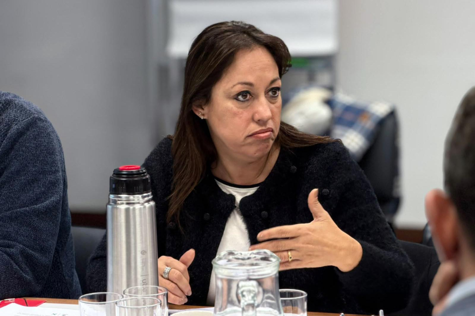 Ministra Fernanda Cardona Cardona habla, sentada