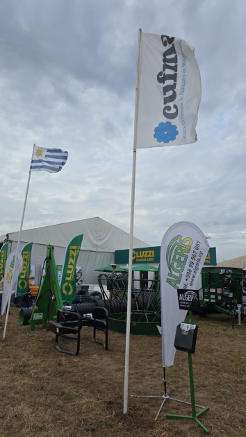 Banderas (al fondo, la uruguaya) y carpa bajo un cielo nuboso