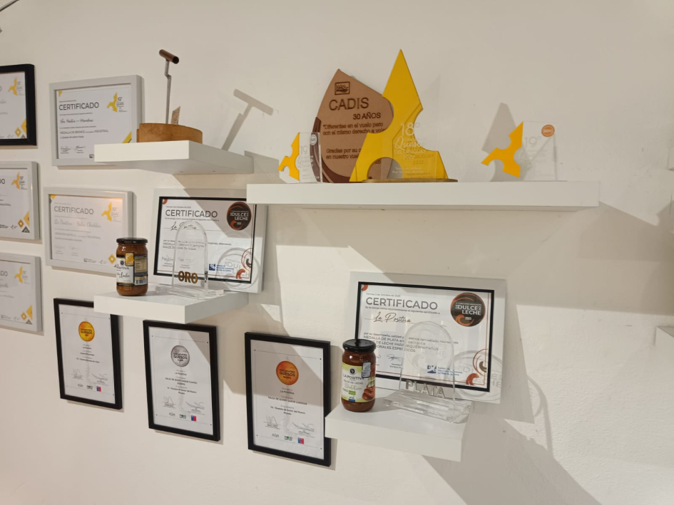 Cuadros de reconocimientos obtenidos por diferentes productos de La Positiva, colgados en pared