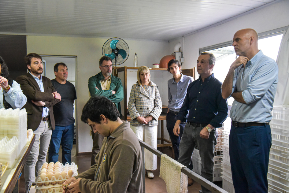 Recorrida en instalaciones de Avícola El Poyote Personas, de pie, observan a un trabajador que manipula huevos