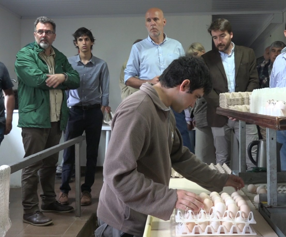Recorrida en instalaciones de Avícola El Poyote Personas, de pie, observan a un trabajador que manipula huevos