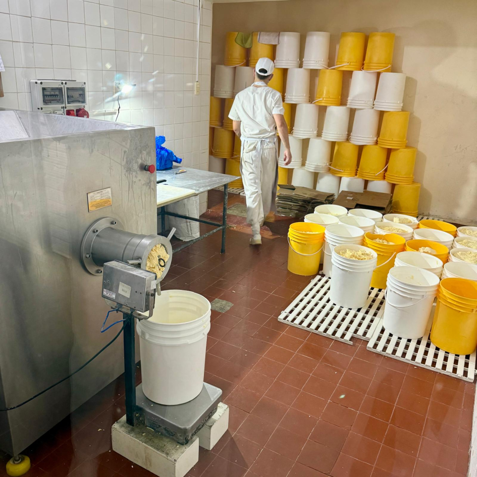 Quesos en planta industrial