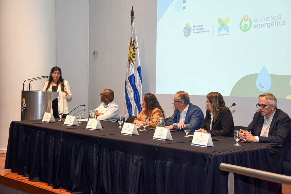 Directora Nacional de Energía, Arianna Spinelli en atril de oradores, al lado mesa de autoridades