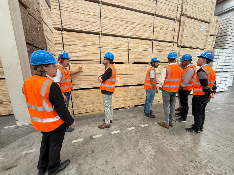 Director Míguez y equipo técnico en empresa BrasPine