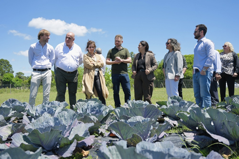 Autoridades junto a plantación