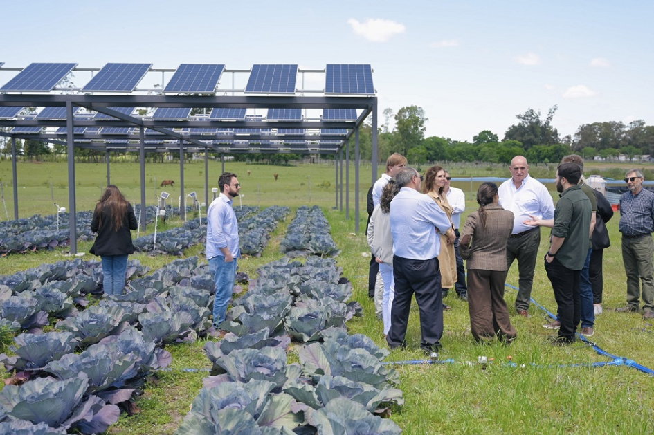 Autoridades y referentes del proyecto junto a plantación y paneles fotovoltaicos