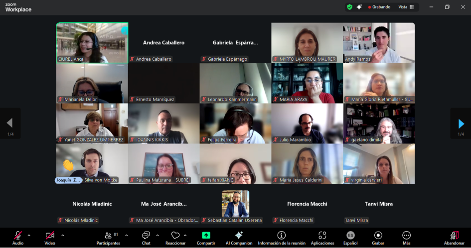 Webinar Consideraciones sobre la PI en los Videojuegos imagen con las caras de todas las personas en un reunion zoom