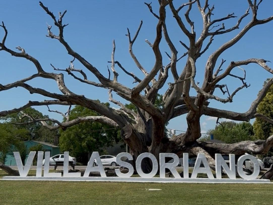 La fibra óptica llegó a Villa Soriano Cartel de Villa Soriano, junto a un árbol