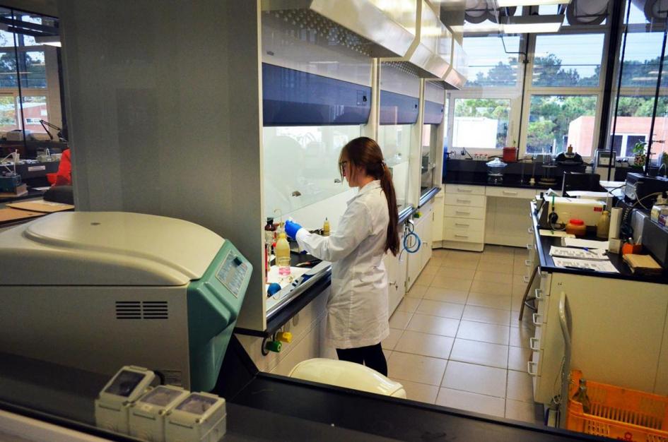 Día de la mujer y la niña en la ciencia Día de la mujer y la niña en la ciencia