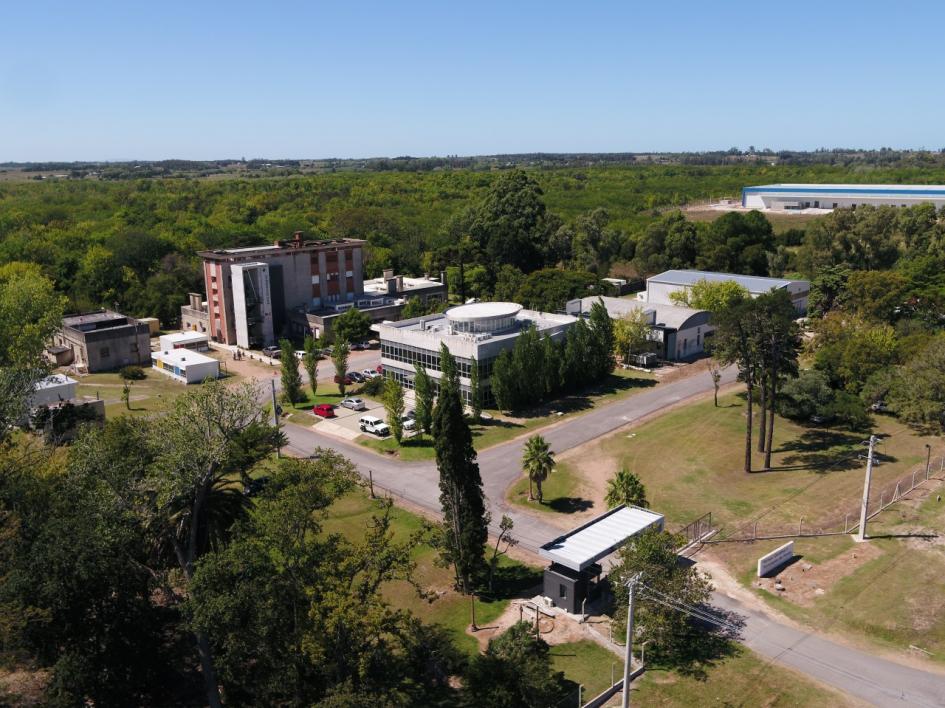 Imagen aérea del predio del Parque Científico Tecnológico de Pando; incluye edificios y árboles