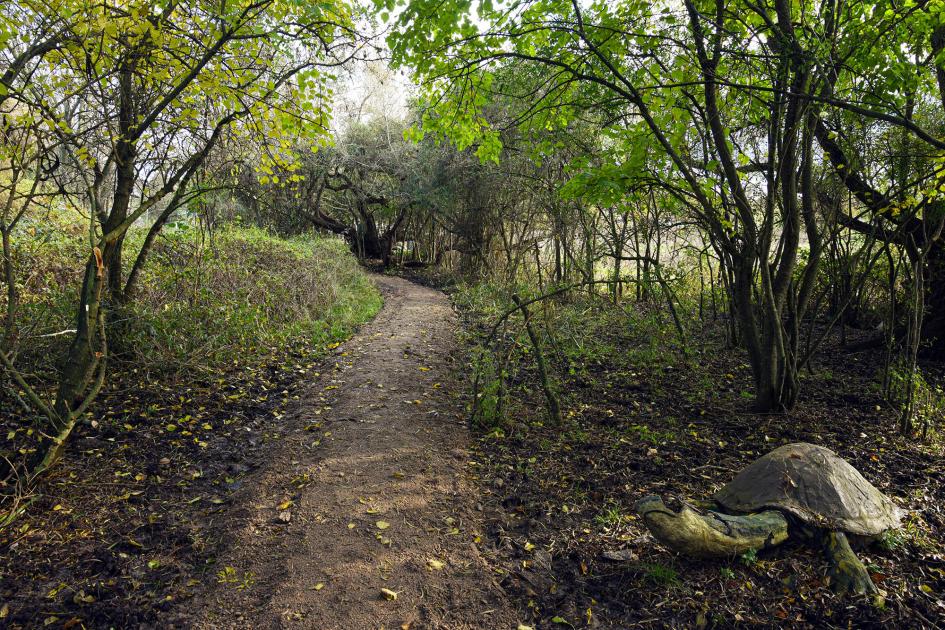 Rincón del Bañado está ubicado en un humedal: los Bañados de Carrasco Pequeño bosque en los humedales