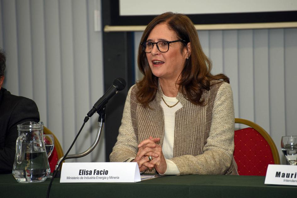 Ministra Elisa Facio Ministra Elisa Facio habla en mesa de autoridades
