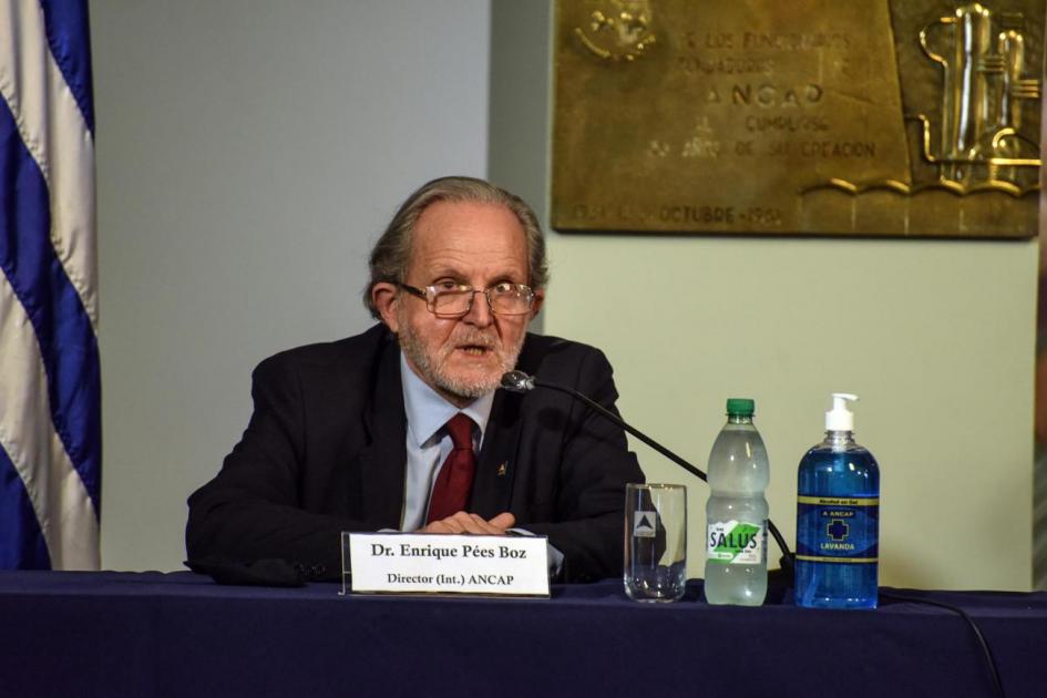 Director Enrique Pées Boz