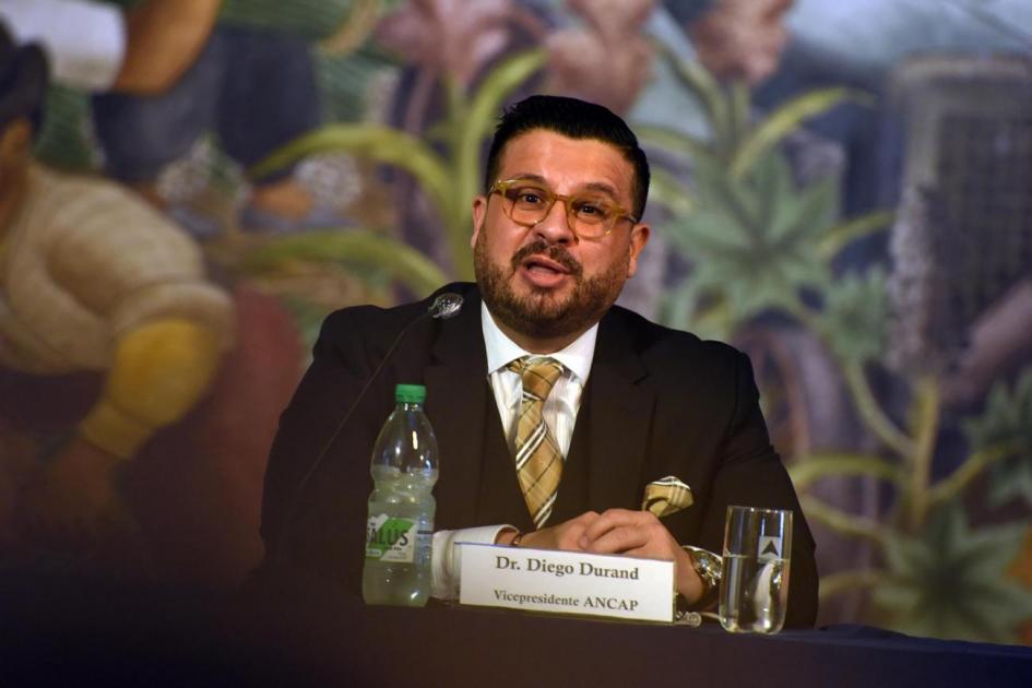 Vicepresidente Diego Durand