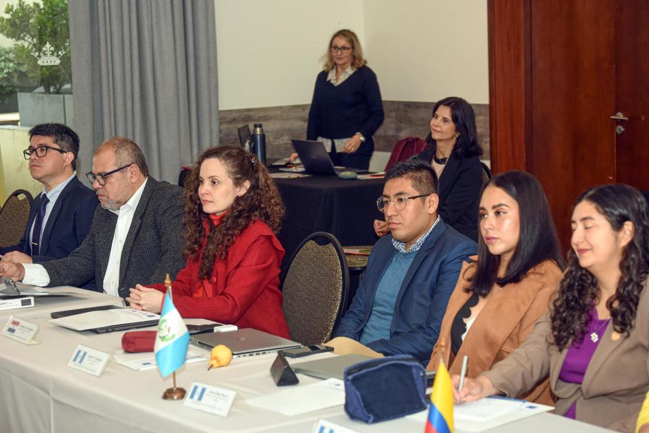 Participantes del taller Participantes del encuentro, sentados en dos mesas paralelas; banderas de Chile, Brasil y Bolivia