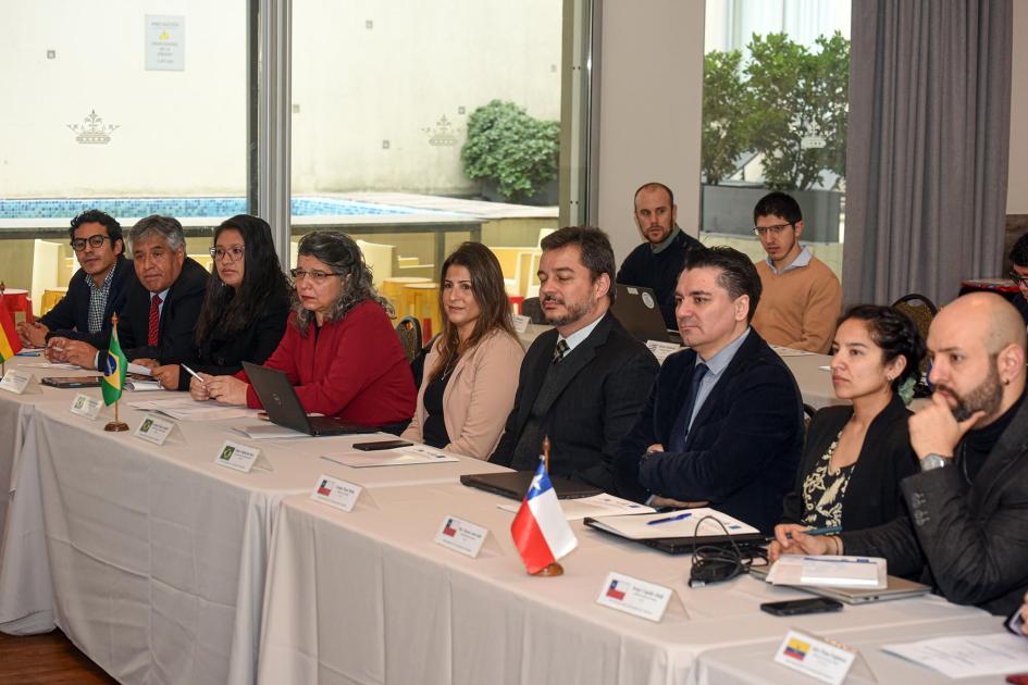 Participantes del taller Participantes del encuentro, sentados en dos mesasa; en una, banderas de Chile, Brasil y Bolivia