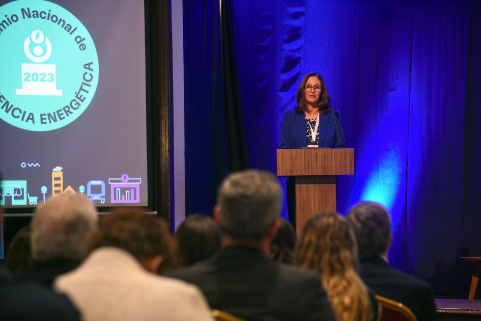 Ministra Facio habla desde un atril, al lado de una pantalla; en primer plano, público, de espaldas.