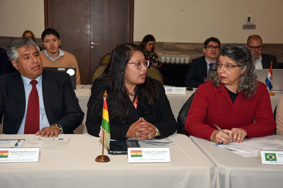 Participantes del taller Participantes del encuentro, sentados en mesas paralelas; en una, banderas de Bolivia y Brasil