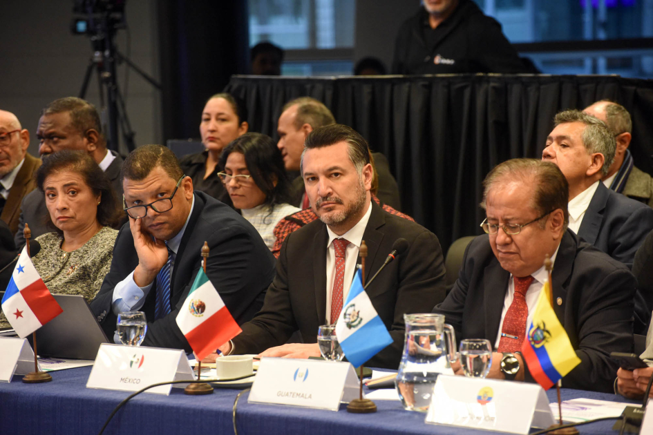VIII Reunión Ministerial de Energía Personas, sentadas en mesas con banderas; detrás, otro grupo