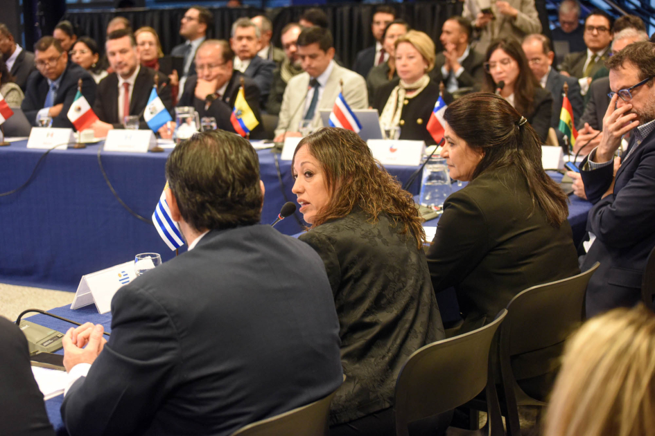 VIII Reunión Ministerial de Energía Cardona habla; se la ve de espalda, en una mesa que forma ángulo con otra